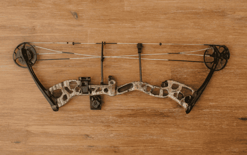 Compoundbogen Cam System Test: Die 5 besten (Bestenliste)